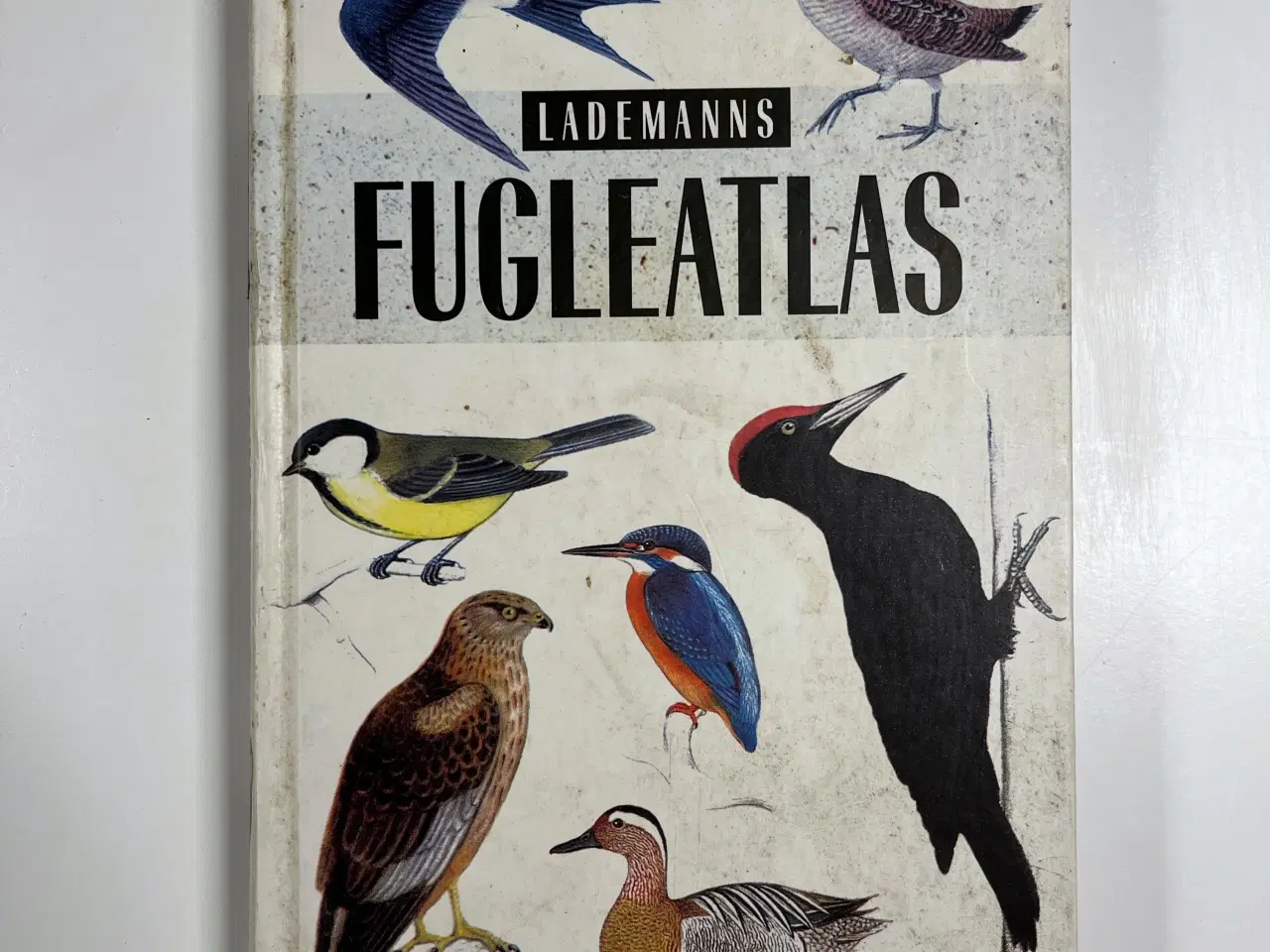 Billede 1 - Lademanns Fugleatlas