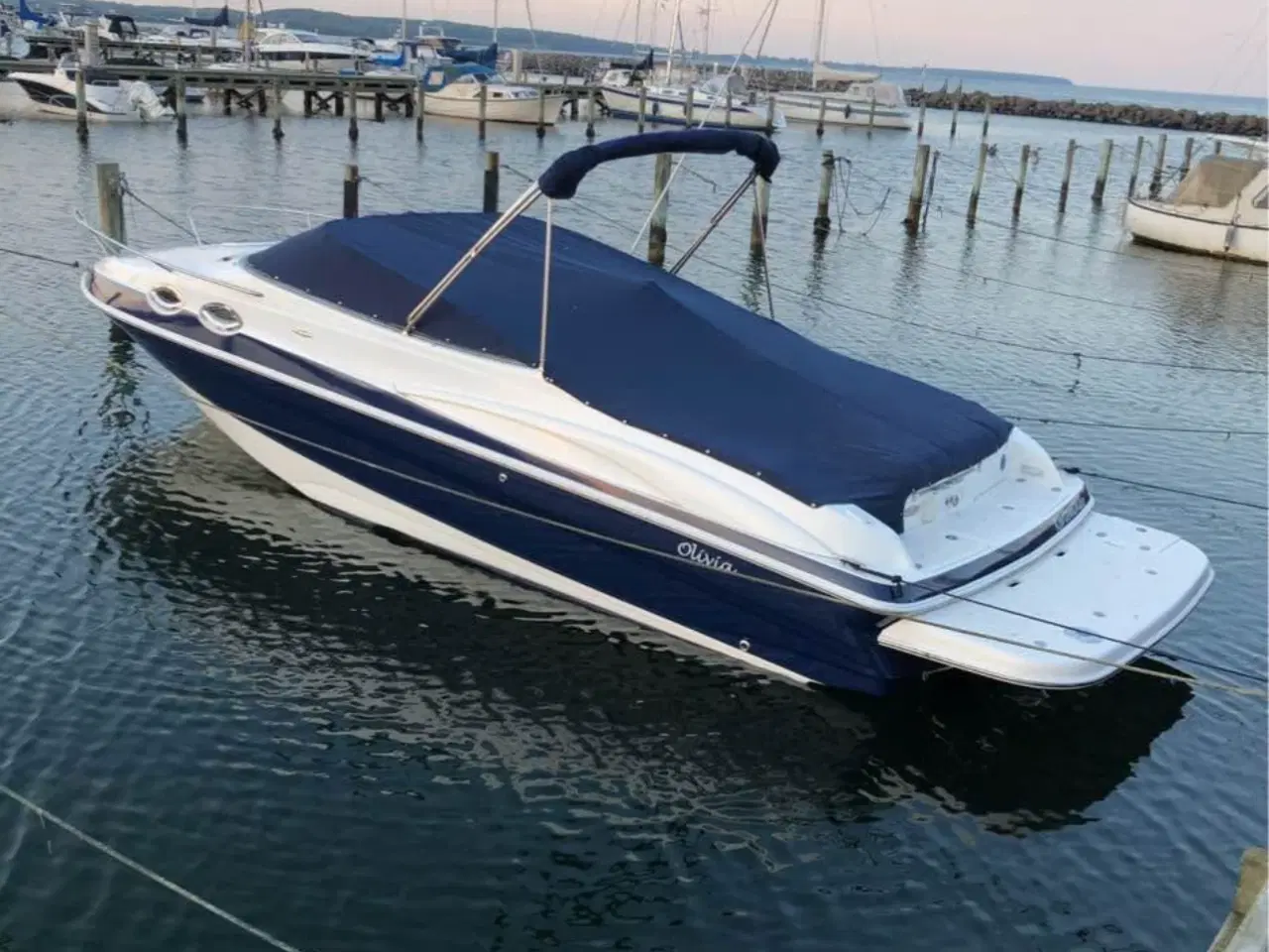 Billede 2 - Regal 2650 lsc daycruiser båd 