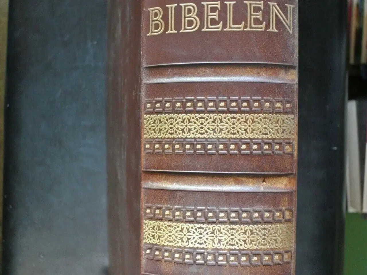 Billede 2 - bibelen - hellæder - ill. i farve