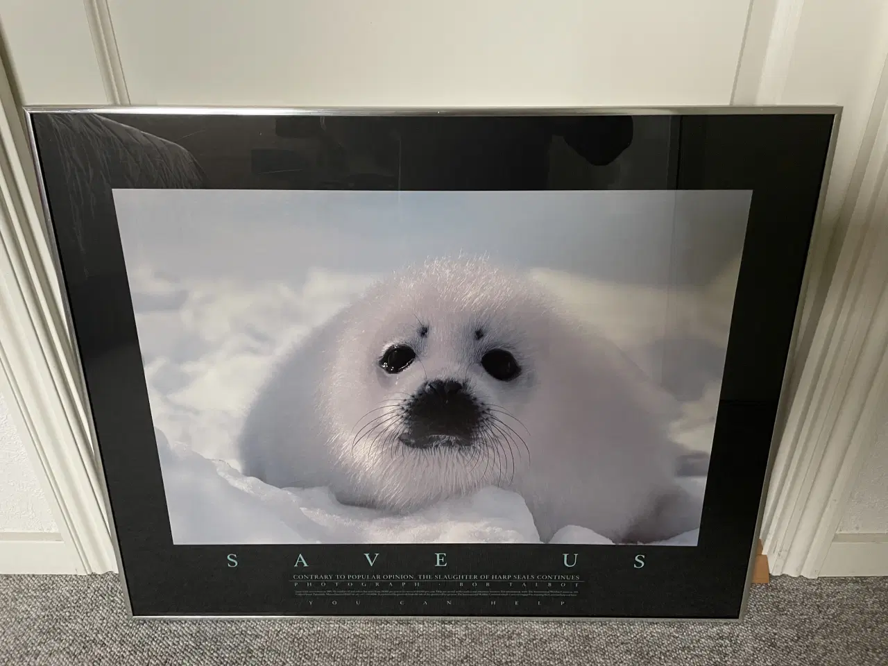 Billede 1 - Flot sælunge i alu-glasramme