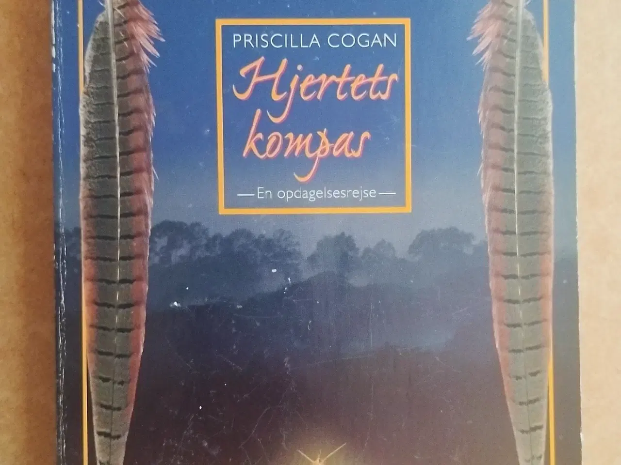 Billede 3 - Bøger - manga, healing, spiritualitet, hekse, 