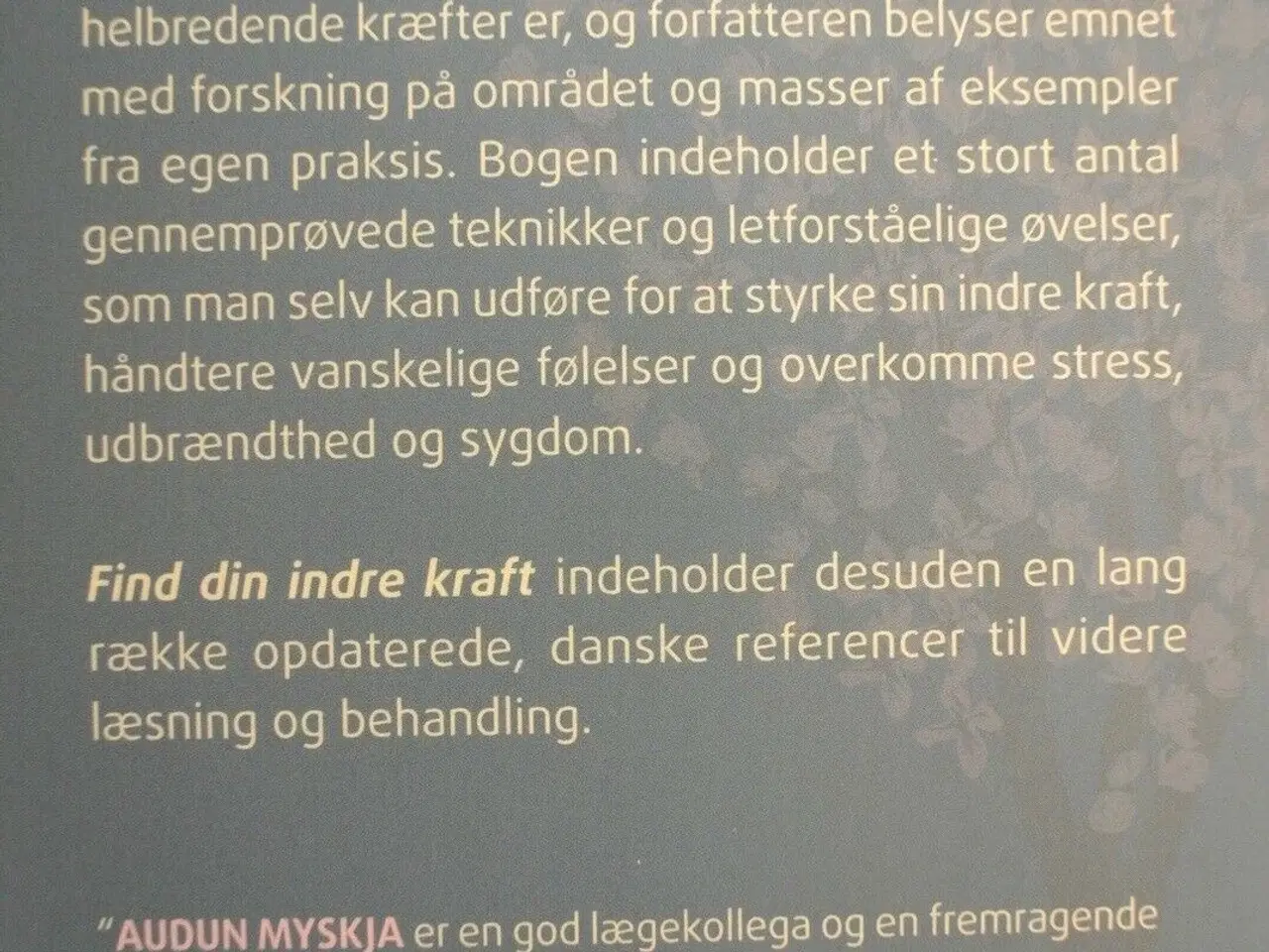 Billede 4 - find din indre kraft, af audun myskja, emne: perso
