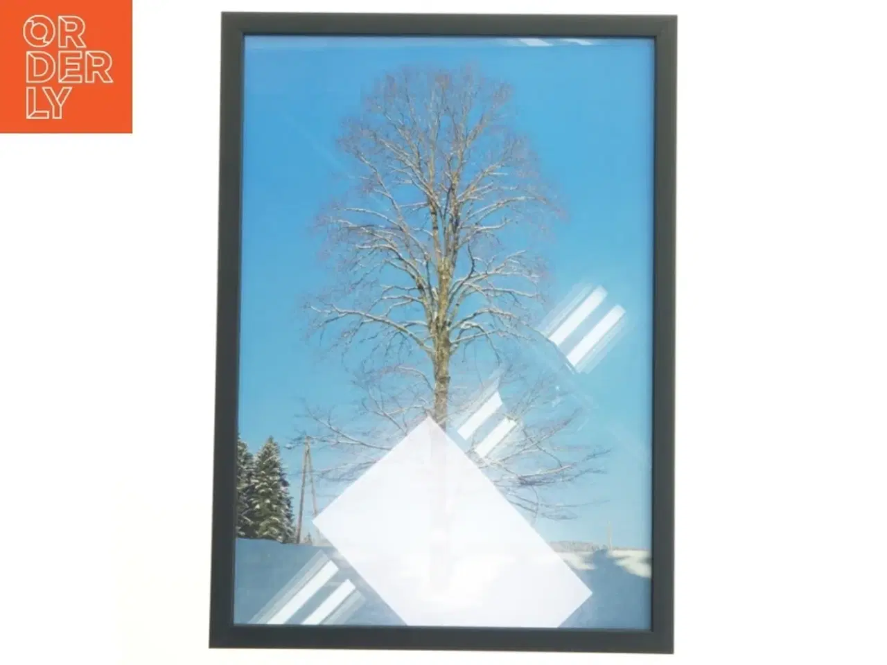 Billede 1 - Indrammet billede af vintertræ (str. 29,8x42 cm)