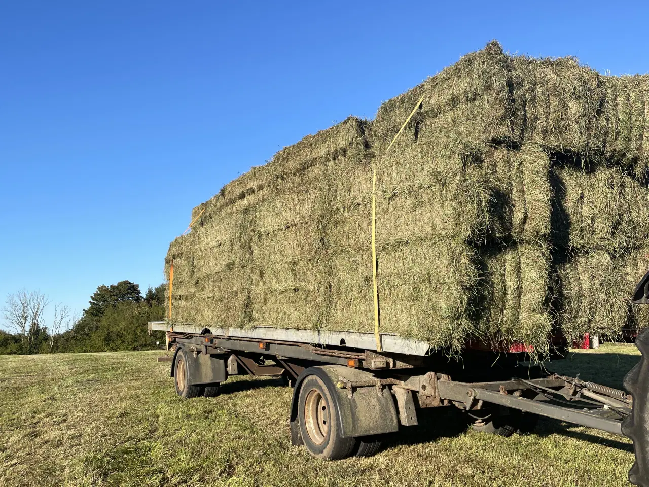 Billede 3 - Wraphø, tørt hø og vårbyghalm
