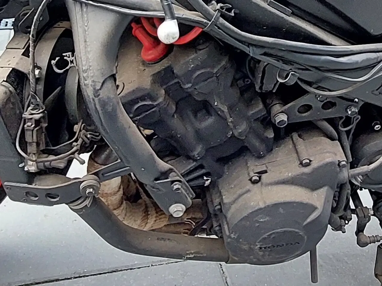 Billede 2 - Honda CBR600 F3 motor og køler