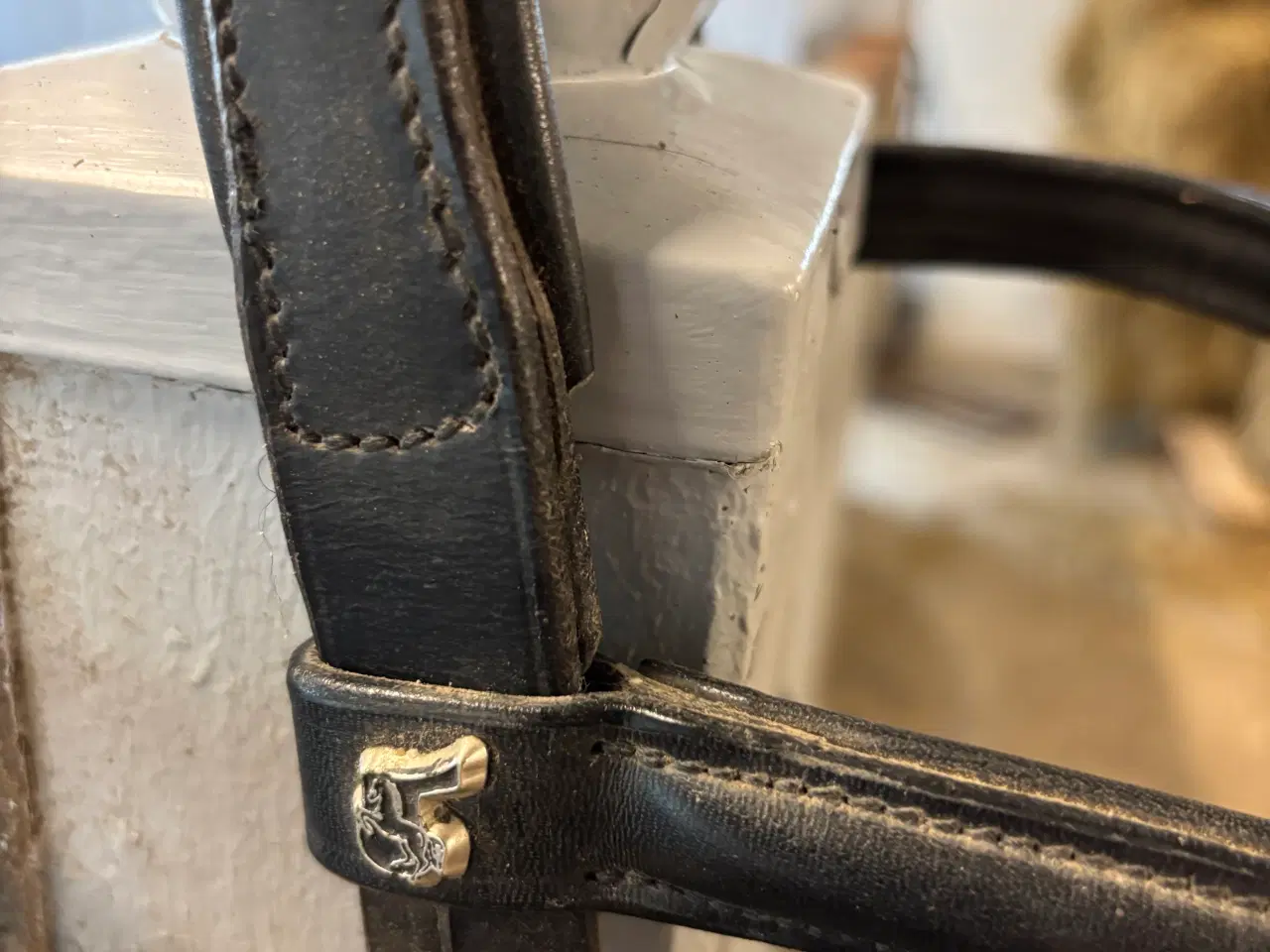 Billede 5 - 17” dressur sadel, samt trense str. full