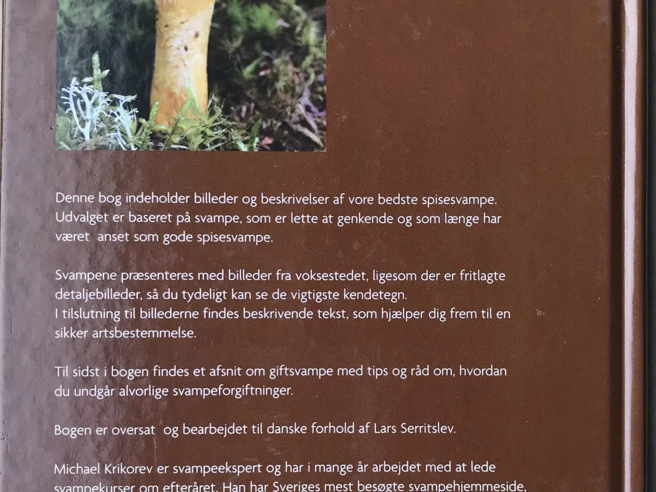 Billede 2 - De bedste spisesvampe, Michael Krikorev
