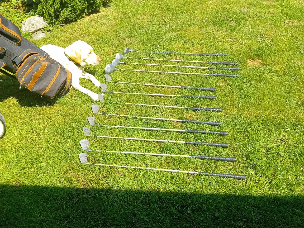 Billede 2 - Golfkøller og vogn
