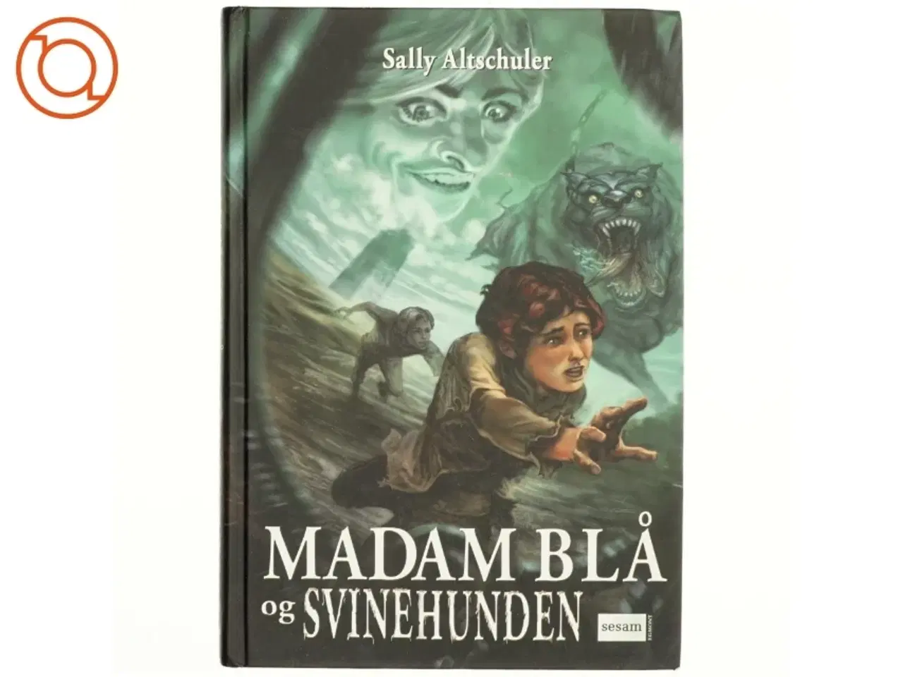Billede 1 - Madam Blå og Svinehunden af Sally Altschuler (Bog)