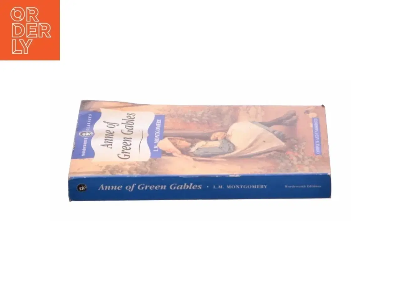 Billede 2 - Wordsworth Children S Classics: Anne of Green Gables & Anne of Avonlea (Paperback) af Montgomery, Lucy Maud / Montgomery, L. (Bog)