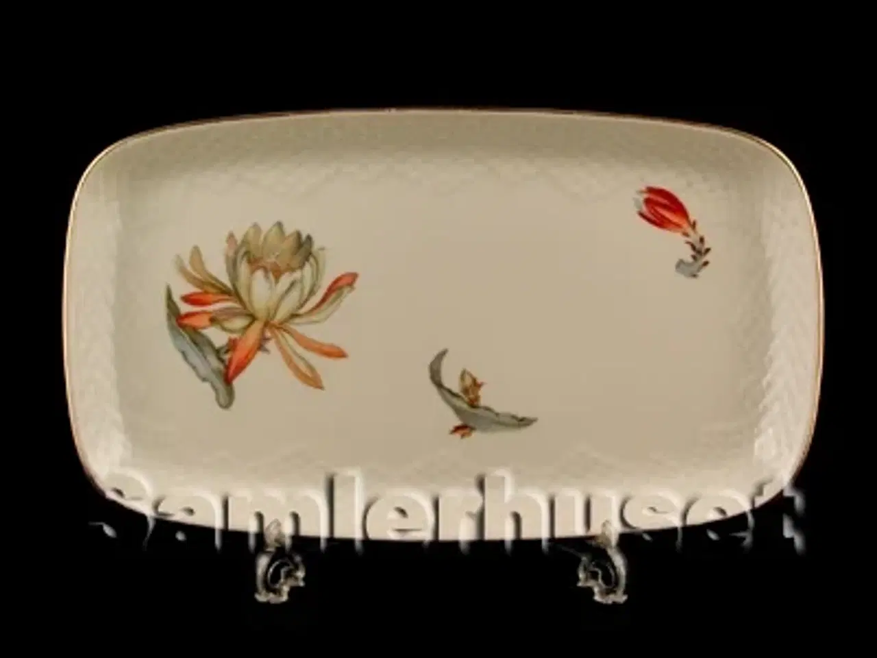 Billede 1 - Kaktus Bakke til sukker og Fløde