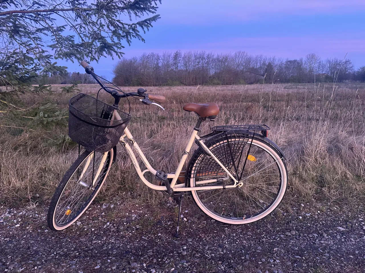 Billede 1 - Flot damecykel 