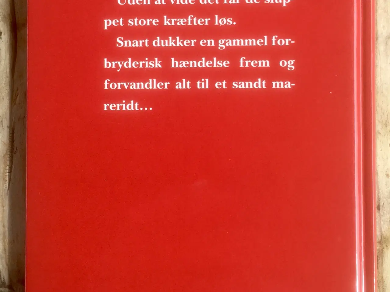 Billede 2 - Lucifers lov, Mia Brandstrup Andersen, fantasy