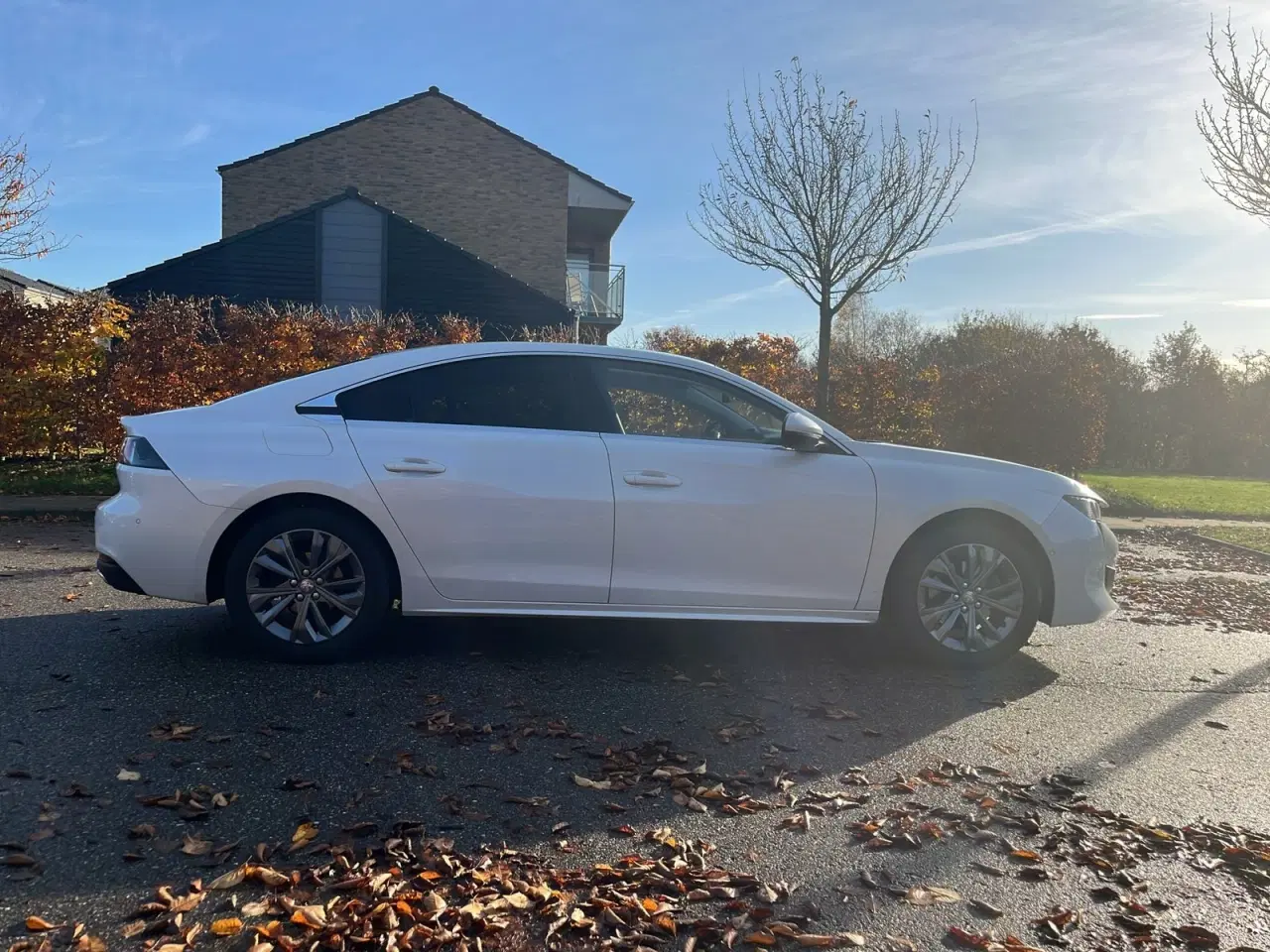 Billede 4 - Peugeot 508 1,5 BlueHDi 130 Allure EAT8