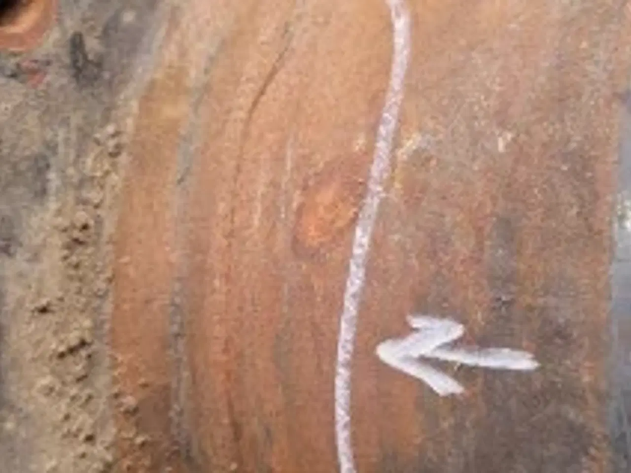 Billede 8 - New Holland PTO Hus 82020889