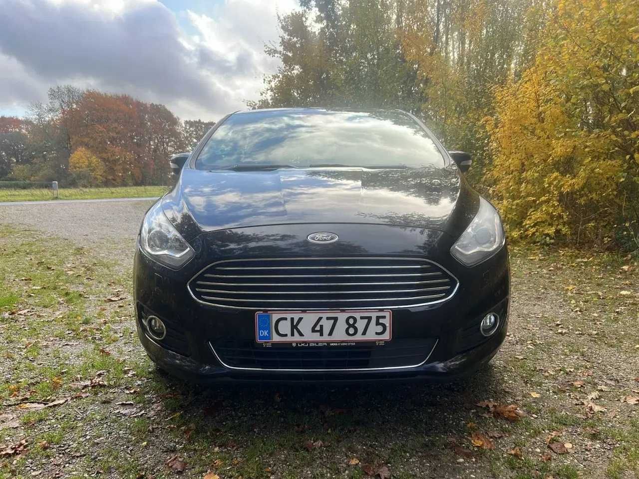 Billede 2 - Ford S-MAX 2,0 EcoBlue Titanium aut. 7prs