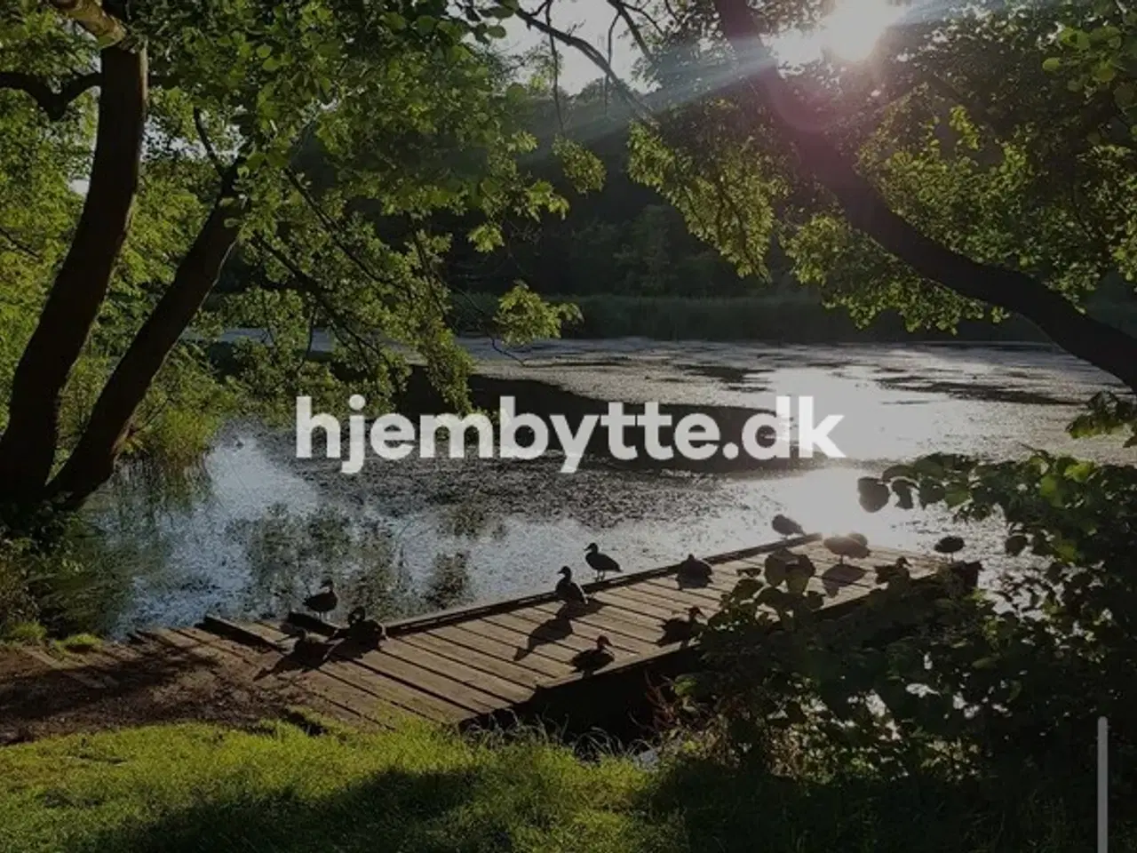 Billede 5 - Hjembytte - Kulsviervej