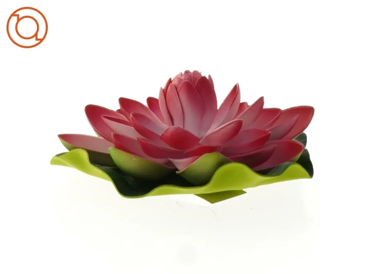 Billede 3 - Lotusblomst (str. 15 cm)