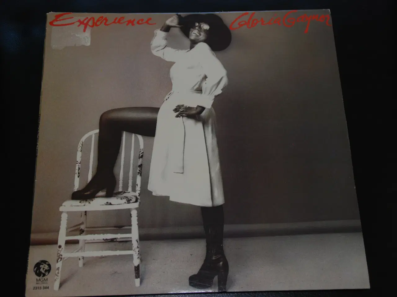 Billede 1 - Lp - Gloria Gaynor