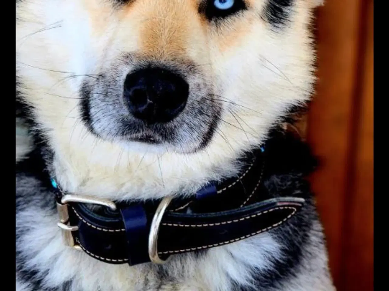 Billede 1 - Smukke Athos