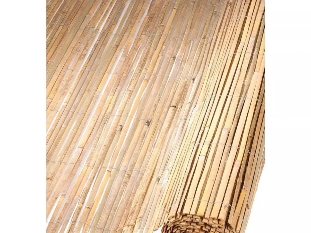 Billede 1 - havehegn bambus 1 x 5 m