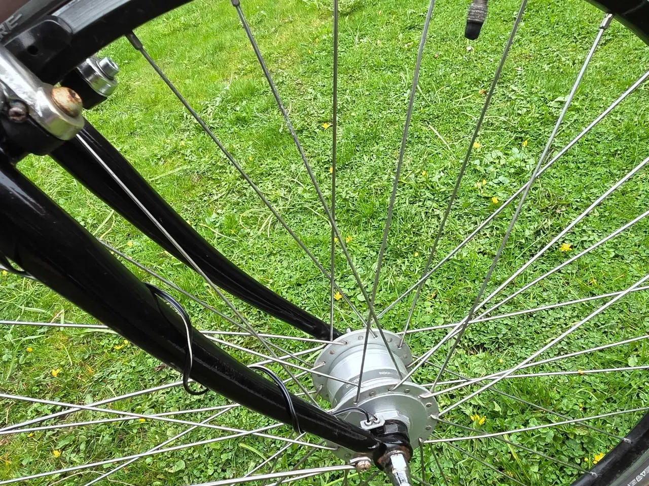 Billede 7 - EVERTON 53 cm 