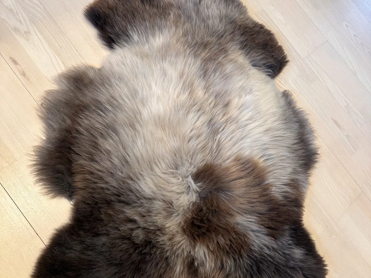 Billede 2 - Helt nyt dansk lammeskind 