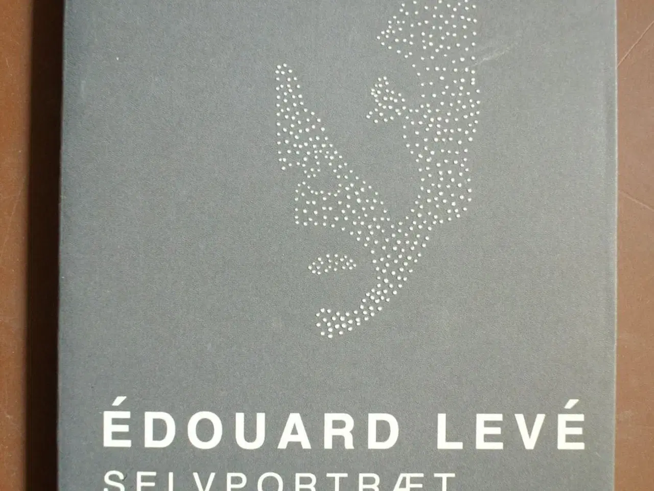 Billede 1 - selvportræt, af edouard leve