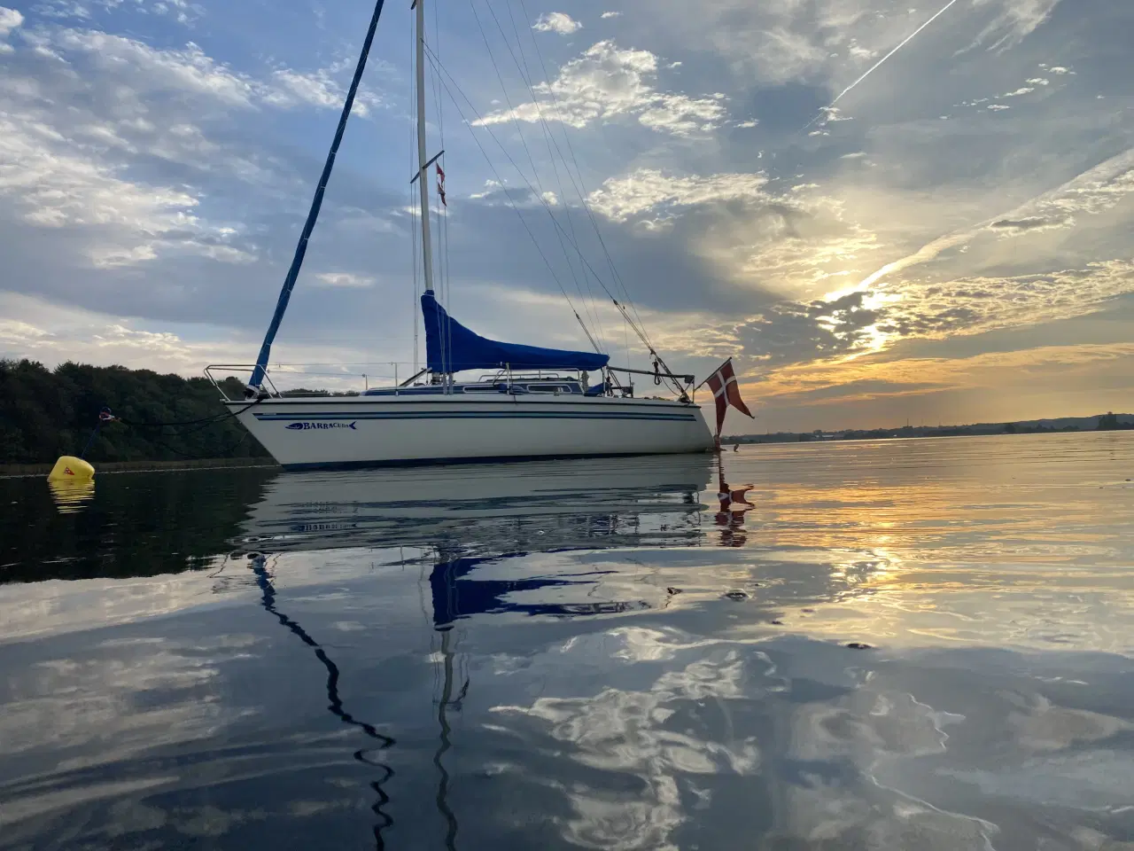 Billede 3 - Mosquito 88 famile og race båd