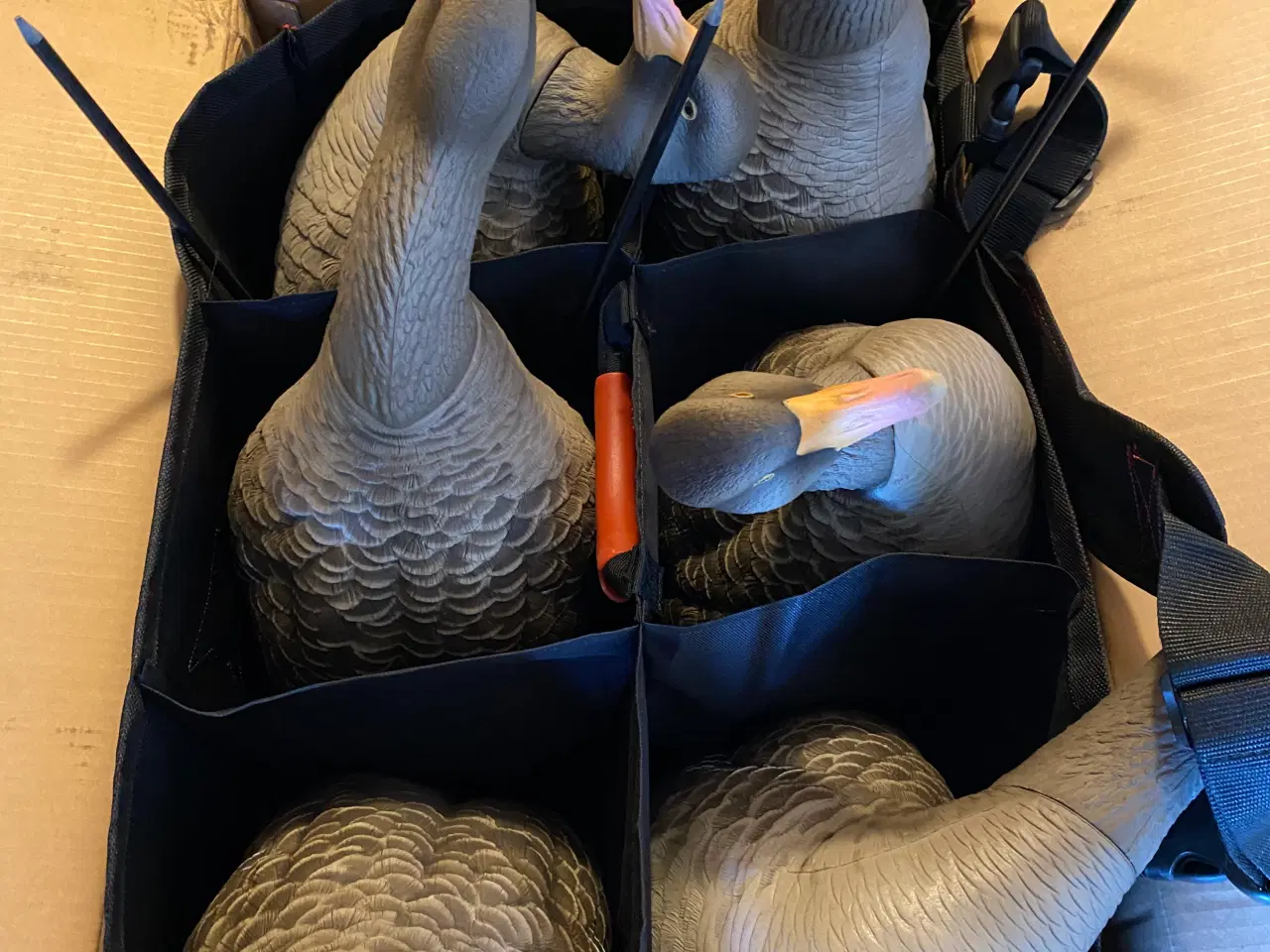 Billede 2 - Avian X lokkegæs/dkwai grågåse kald. Nye!