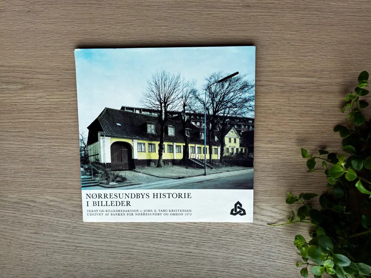 Billede 1 - Nørresundbys Historie i Billeder