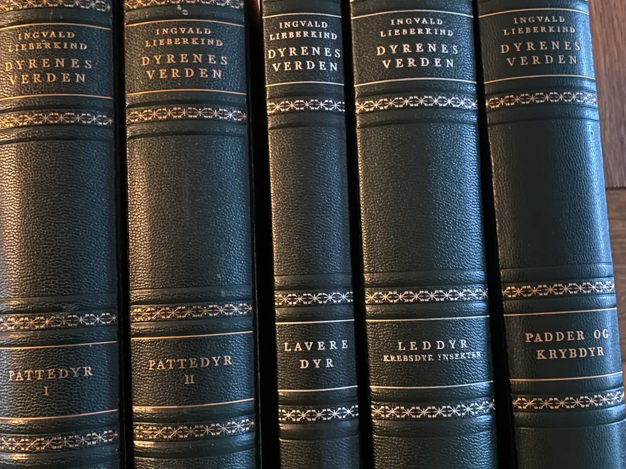 Billede 2 - Lieberkind Dyreleksikon