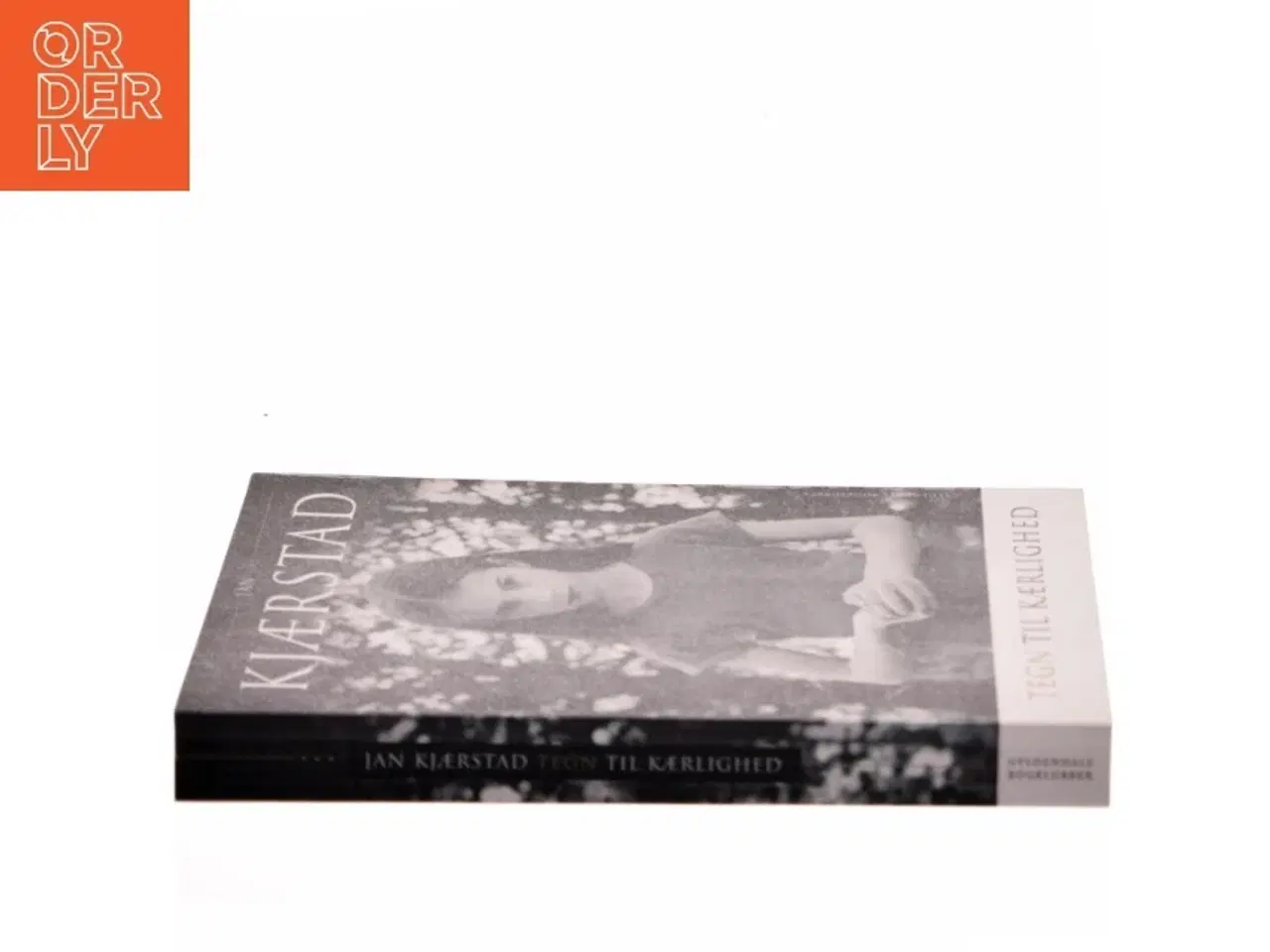 Billede 2 - Tegn til kærlighed : roman af Jan Kjærstad (Bog)