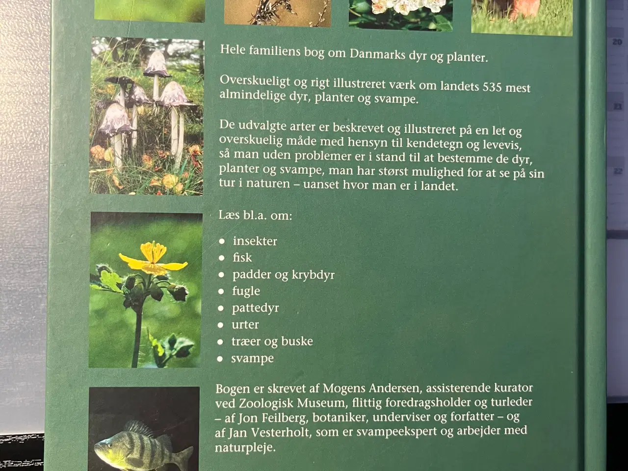 Billede 2 - Danmarks dyr og planter