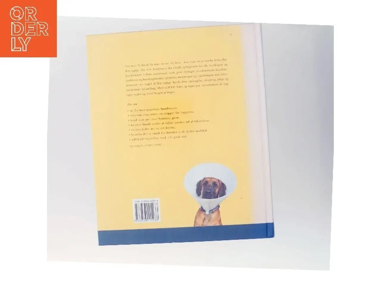 Billede 3 - Den store hundebog : pleje, sundhed og opdragelse, træning, ernæring og førstehjælp af <Bogens forfattere< (Bog)