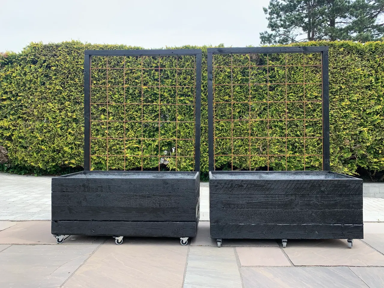 Billede 3 - Plantekasse / højbed / espalier 