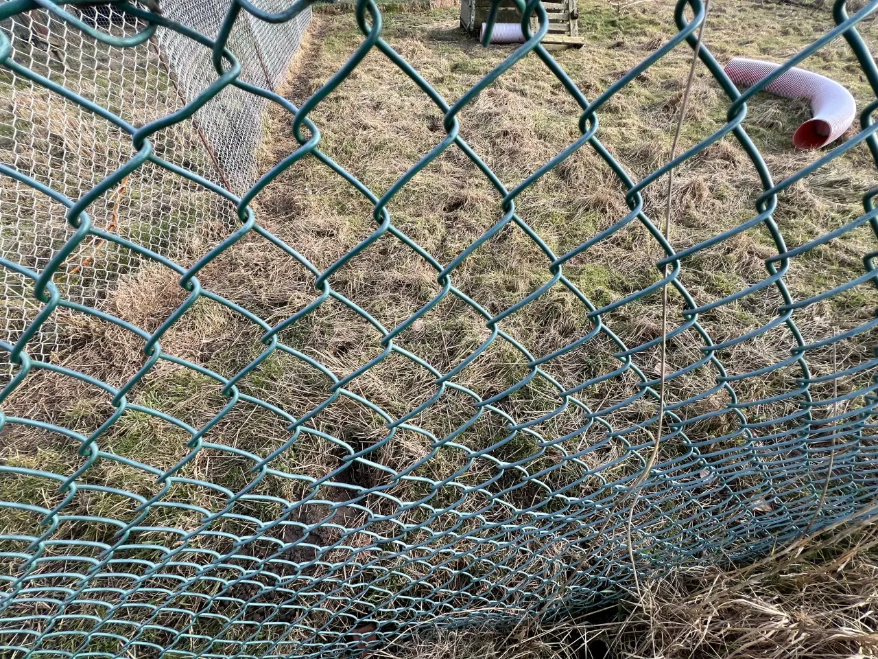 Billede 2 - Flethegn/maskinflet tråd til indhegning