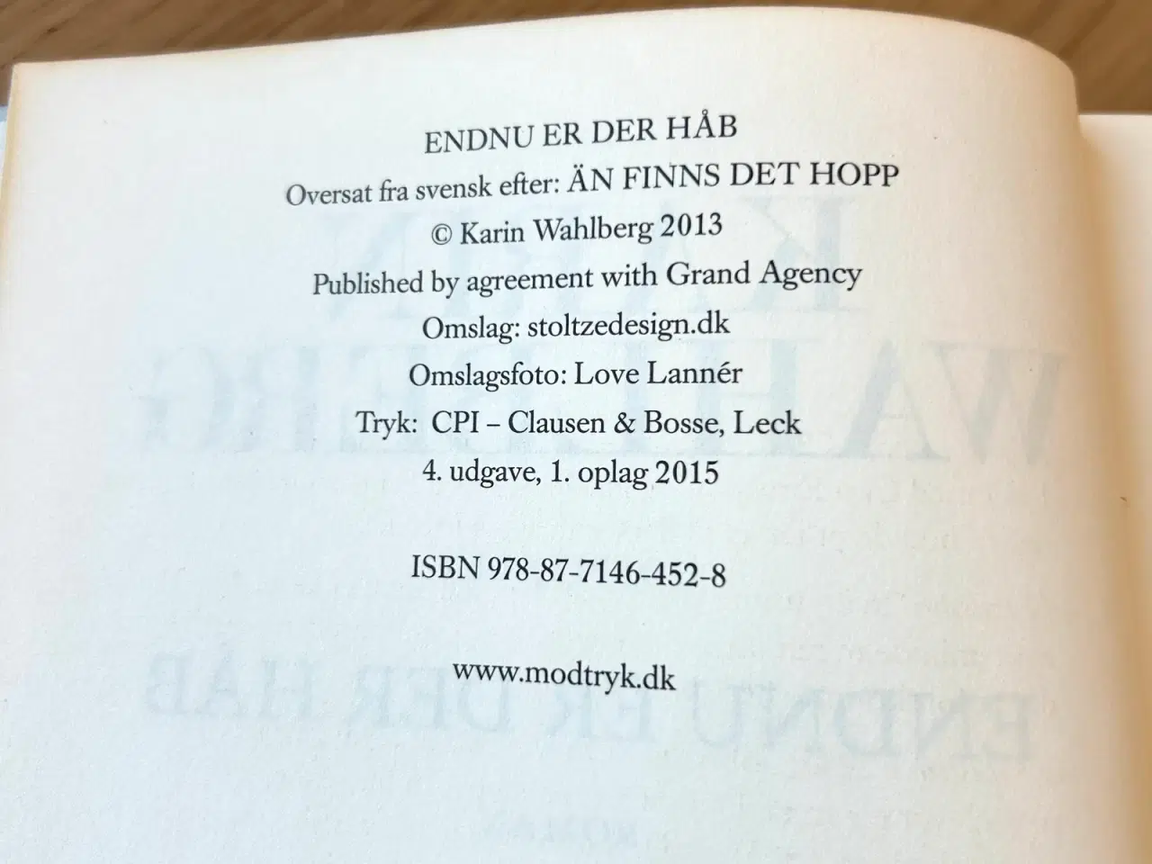 Billede 3 - Endnu er der håb af Karin Wahlberg