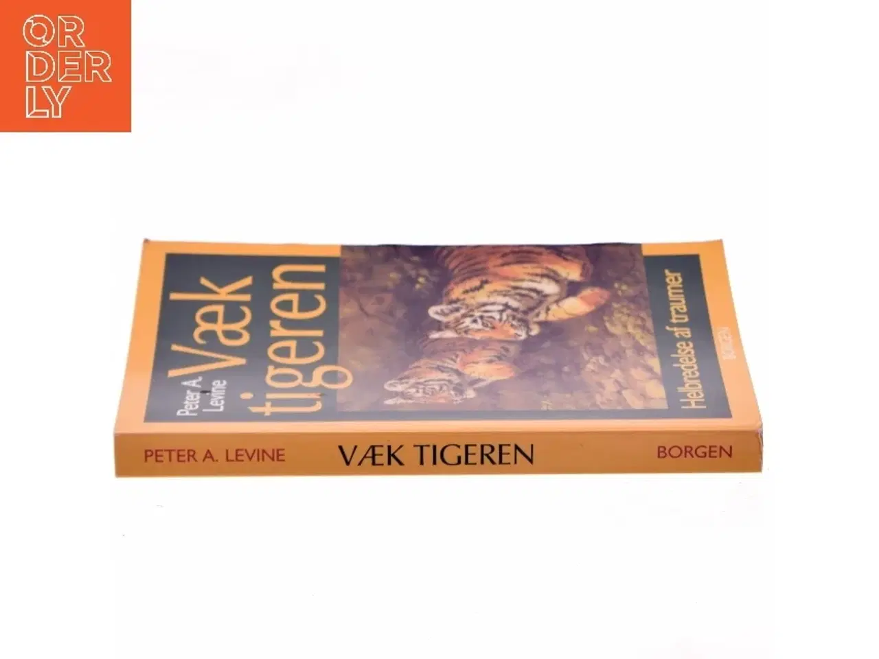 Billede 2 - Væk tigeren : helbredelse af traumer : den naturlige evne til at forvandle overvældende oplevelser af Peter A. Levine (Bog)