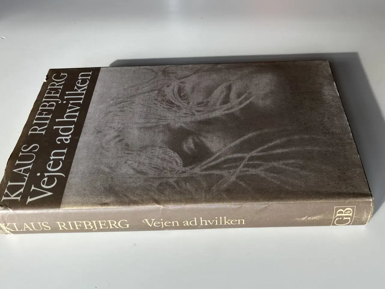 Billede 3 - Vejen ad hvilken. Af Klaus Rifbjerg