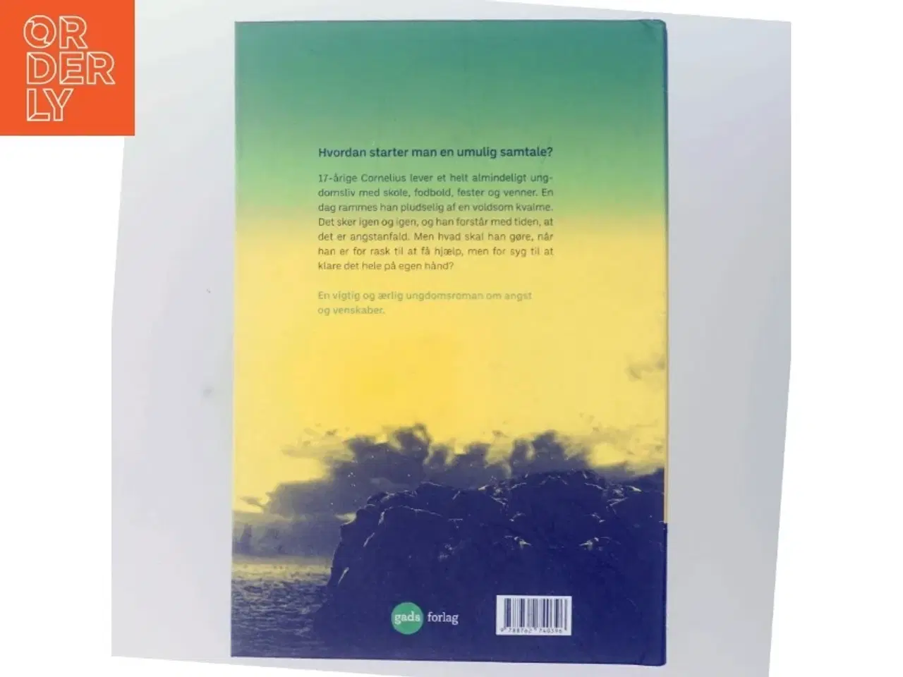 Billede 3 - Som det var før af Alexander Kielland Krag (Bog)