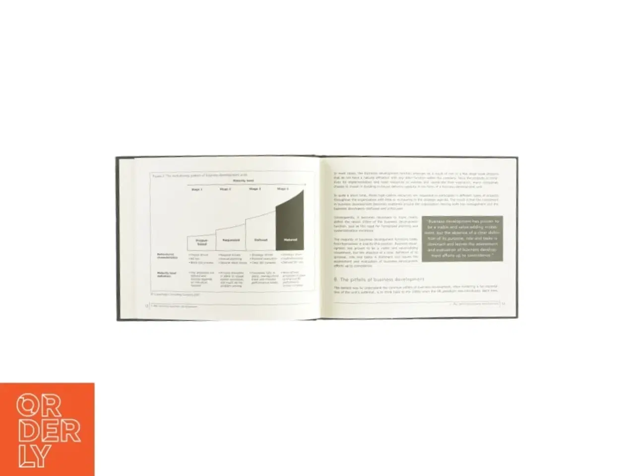 Billede 3 - Business development management (bog)