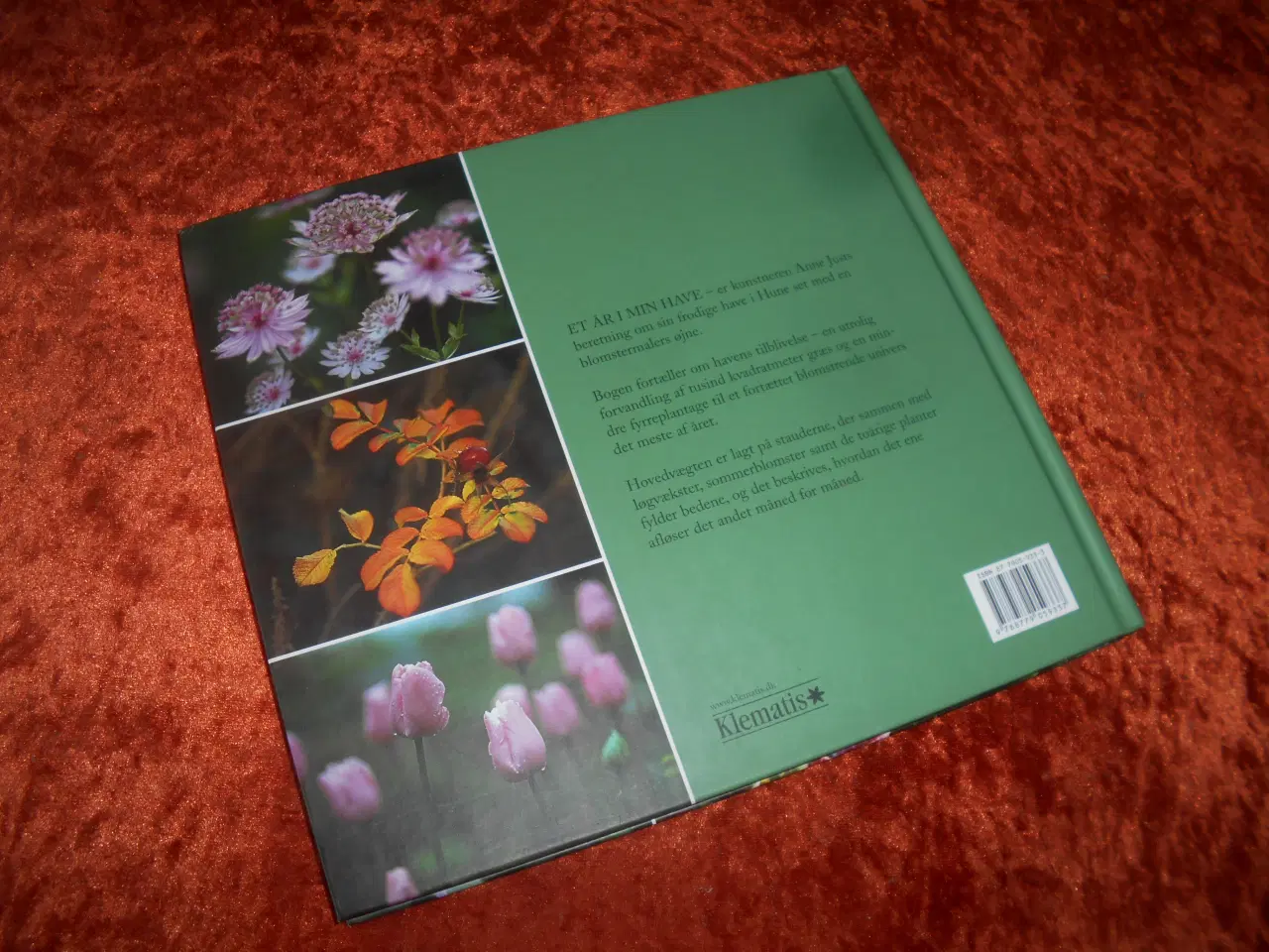 Billede 6 - Et år i min have, Anne Just