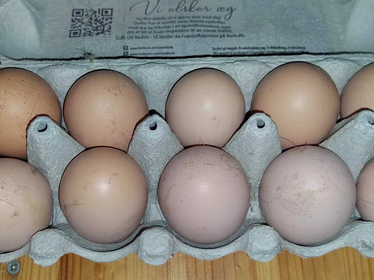 Billede 2 - Rugeæg new hampshire høns stor race