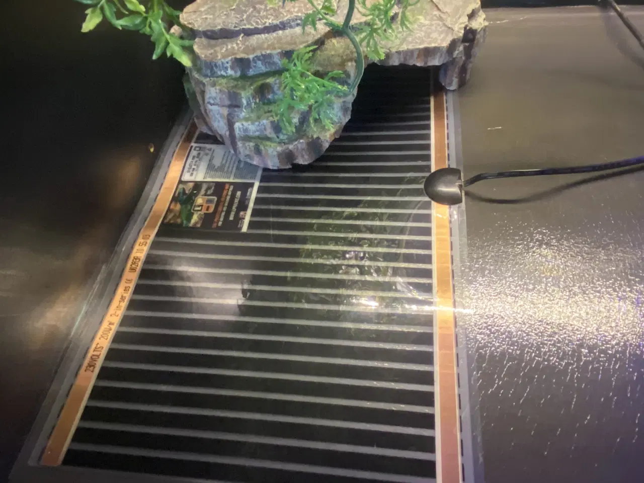 Billede 2 - Plug & play terrarie