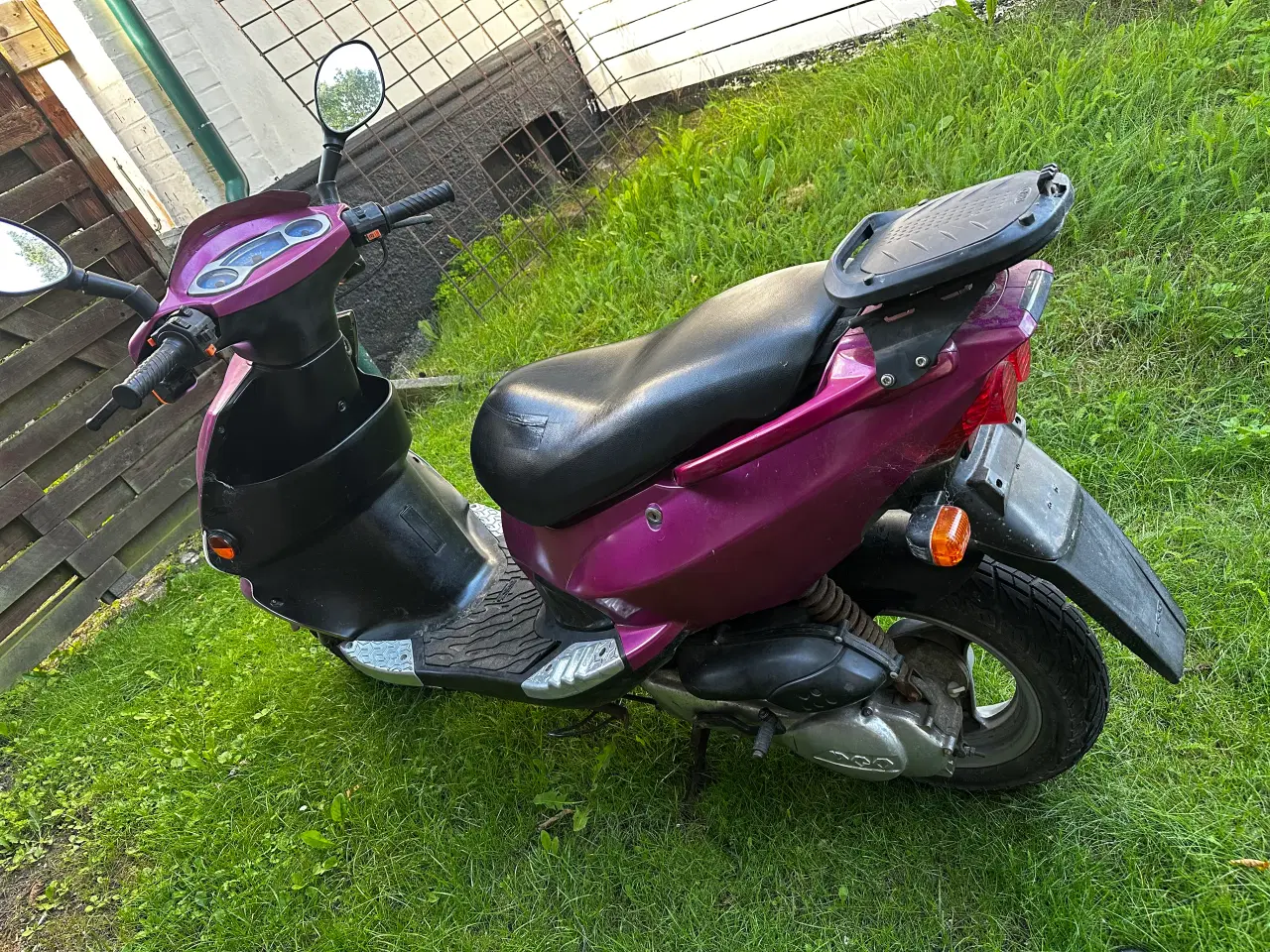 Billede 3 - Pgo t rex 