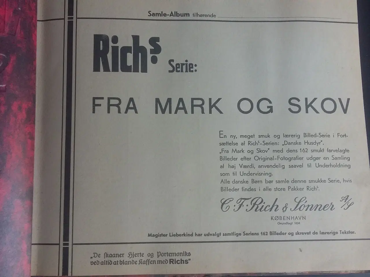 Billede 4 - Richs album Fra Mark og Skov