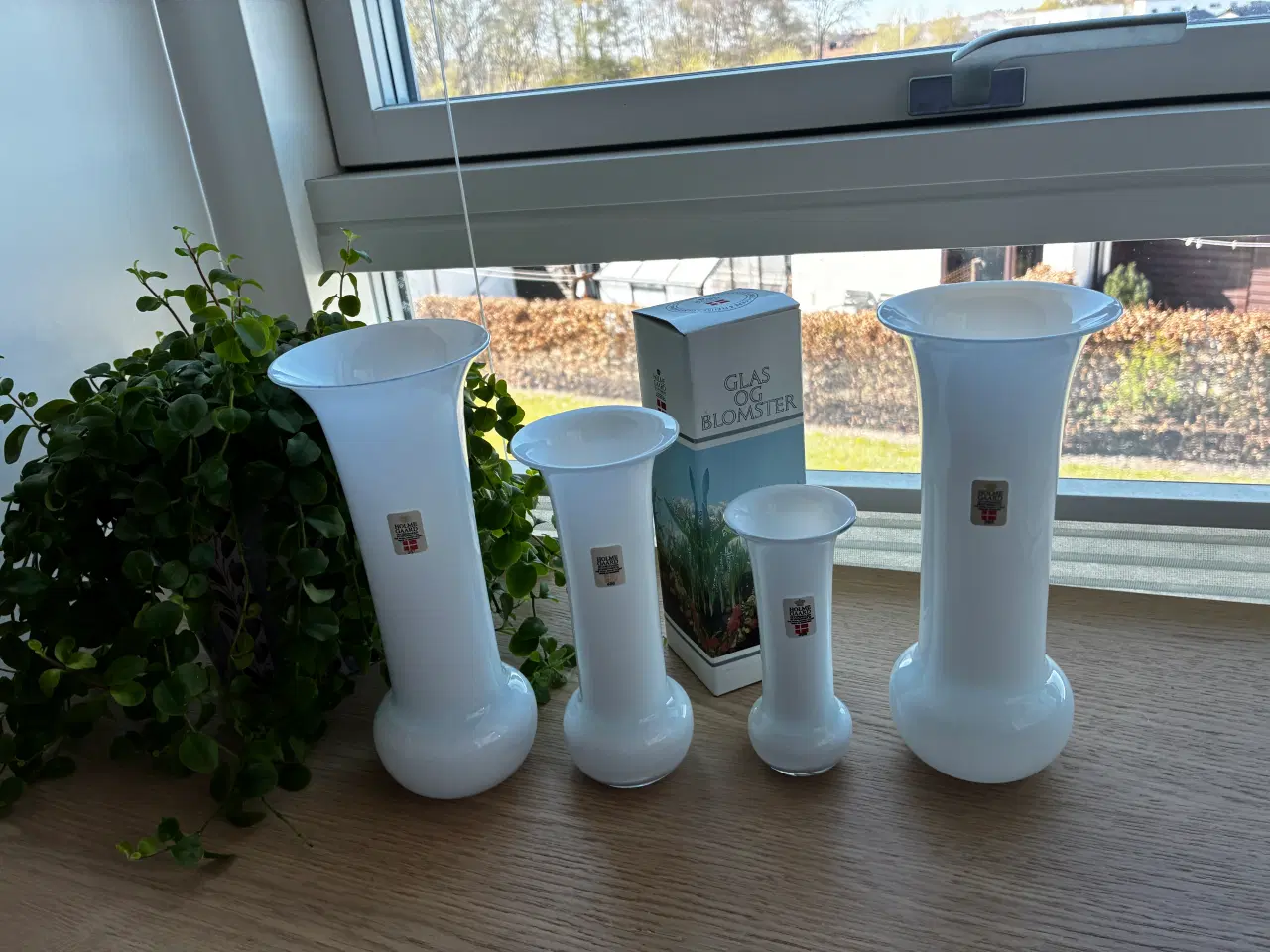 Billede 2 - Holmegaard Trompet vaser i opal glas