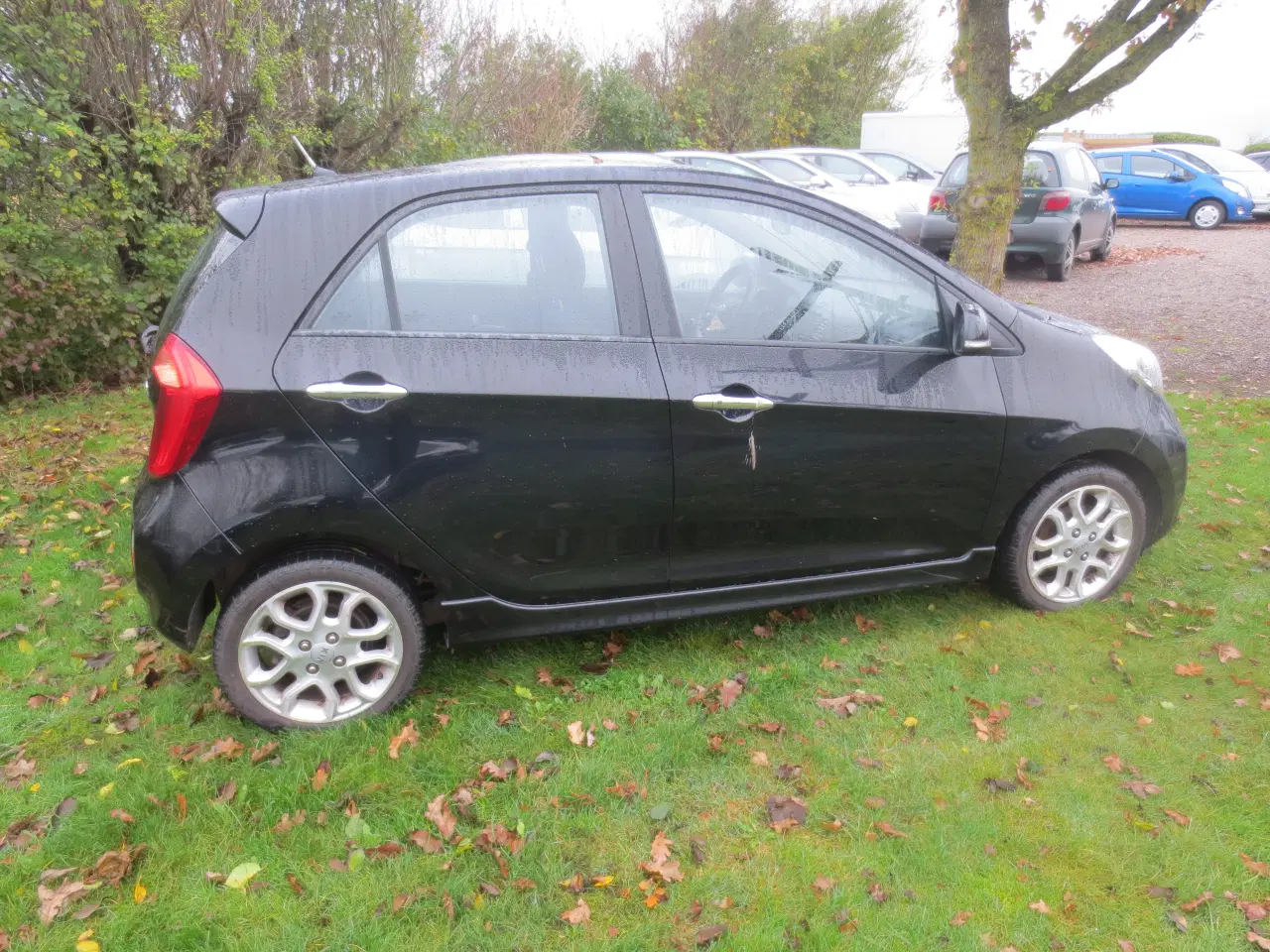 Billede 7 - Kia Picanto 1.0 i Exclusuive Årg 2011.