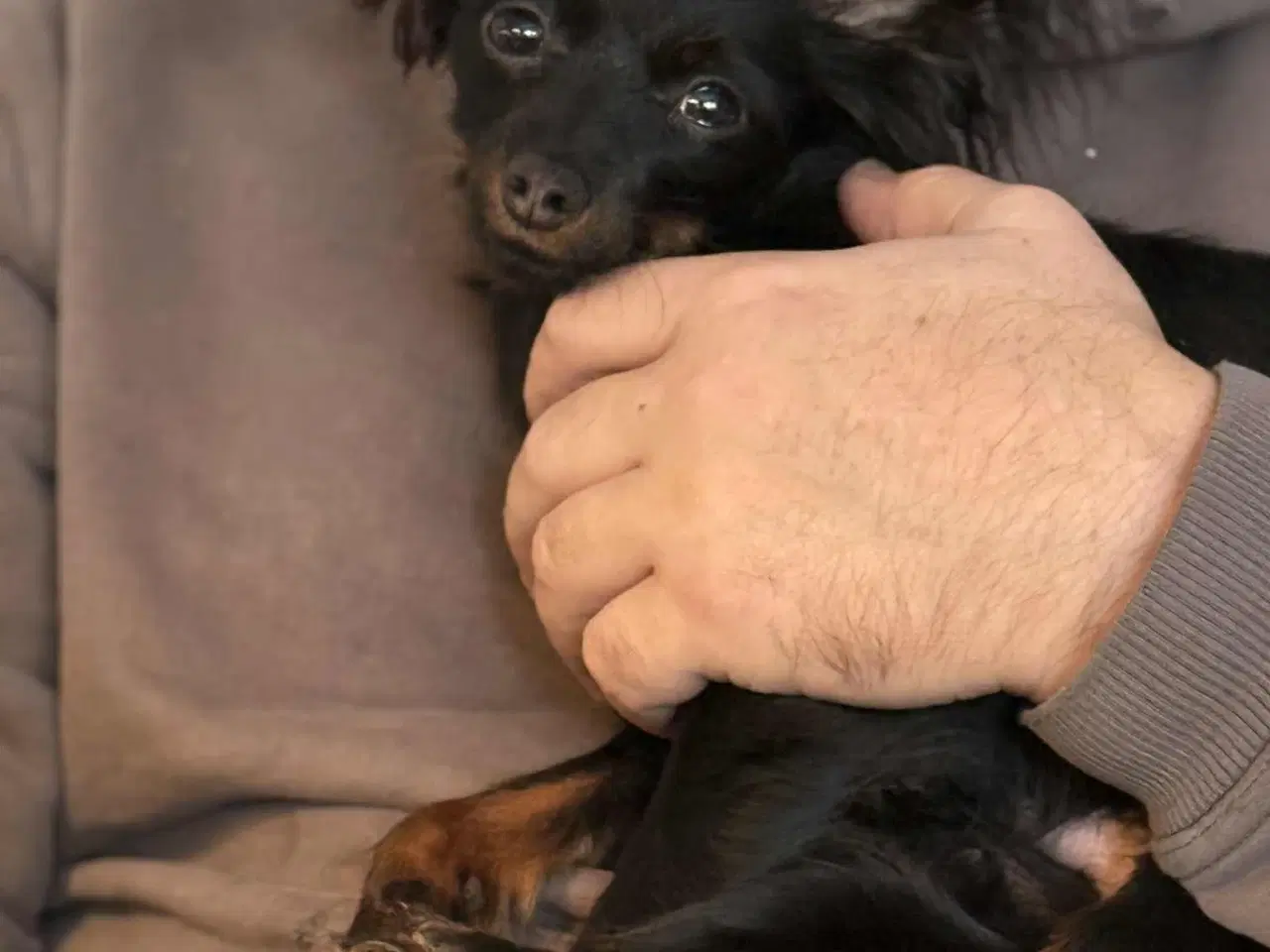 Billede 2 - Verdens sødeste hyggetrold 